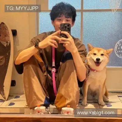 单进飙